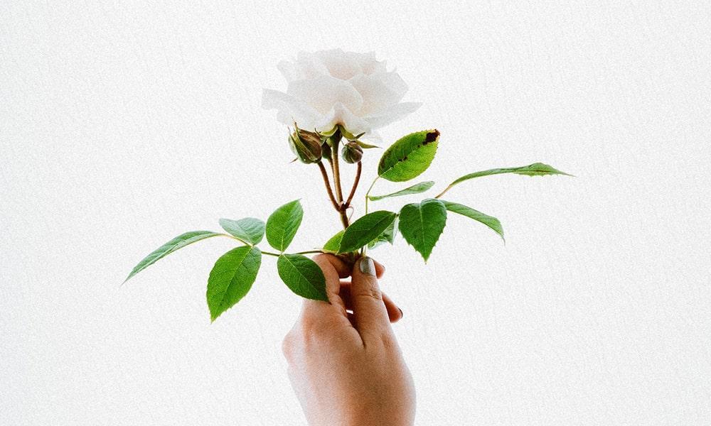 ‘Recalcitrant’ Activist Charged by Singapore Police for Organizing ‘Illegal Assemblies’