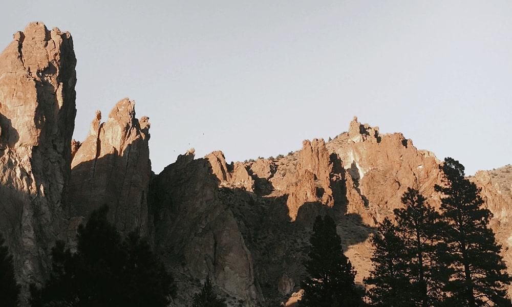 Twitter Japan is Not a Safe Space for Minority Users