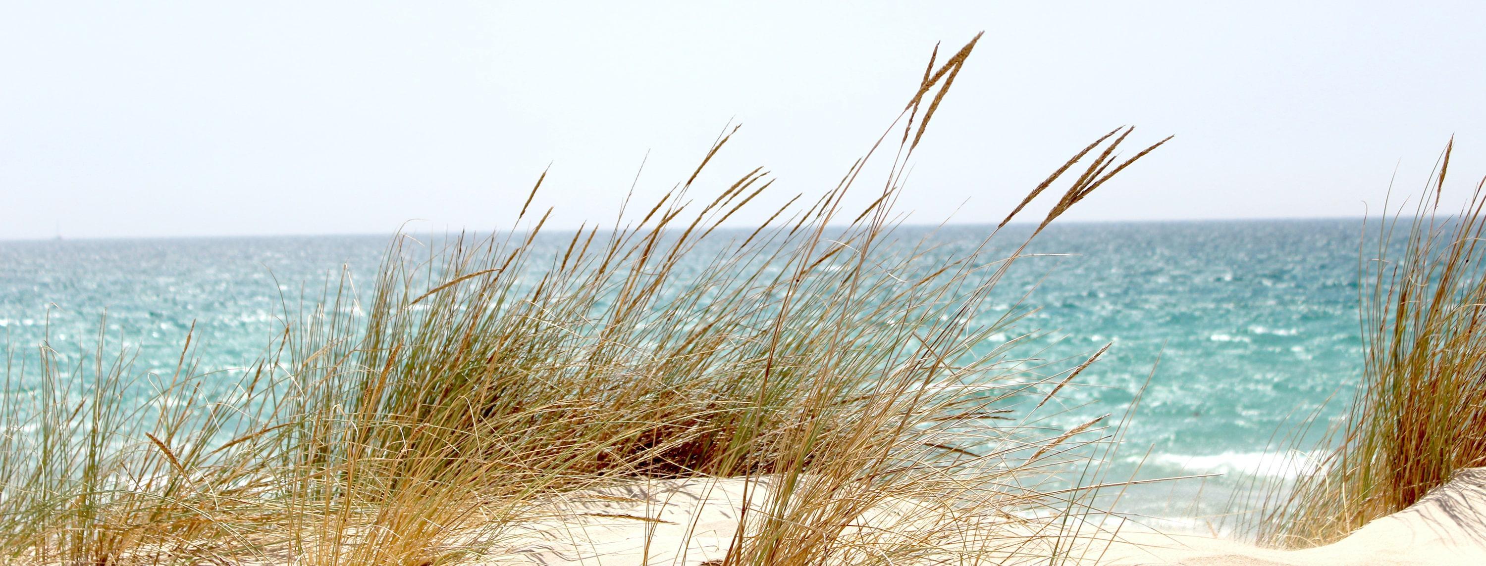 Victoria Becomes the First Australian State to Pass Voluntary Assisted Dying Legislation